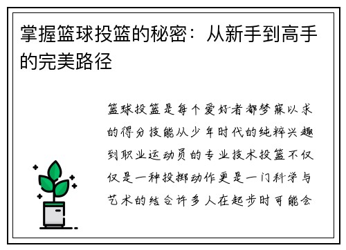 掌握篮球投篮的秘密：从新手到高手的完美路径