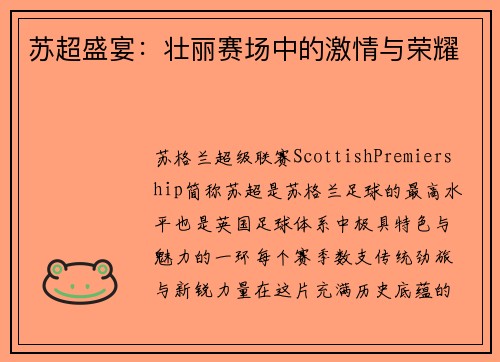 苏超盛宴：壮丽赛场中的激情与荣耀