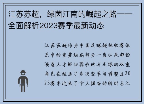 江苏苏超，绿茵江南的崛起之路——全面解析2023赛季最新动态