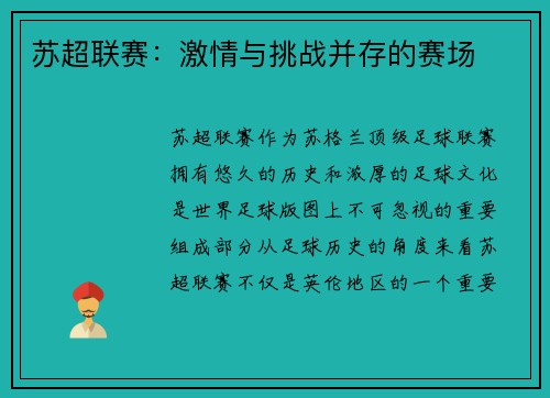 苏超联赛：激情与挑战并存的赛场