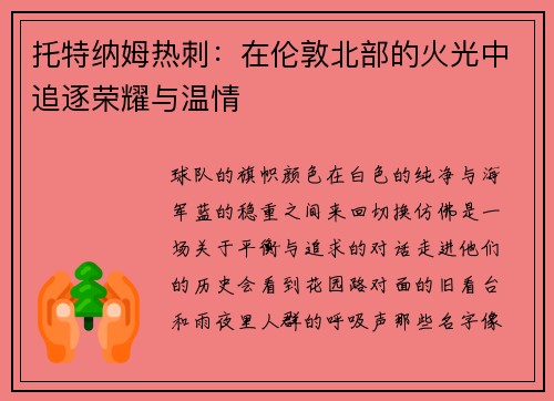 托特纳姆热刺：在伦敦北部的火光中追逐荣耀与温情