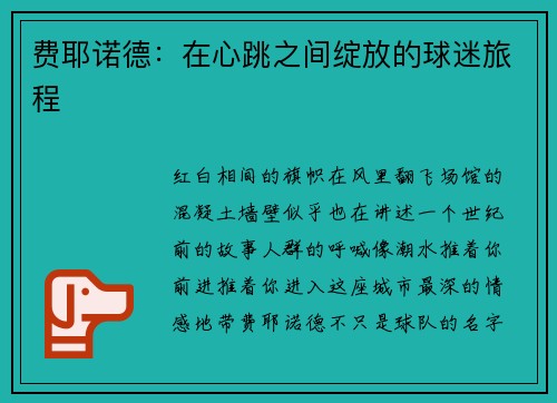 费耶诺德：在心跳之间绽放的球迷旅程