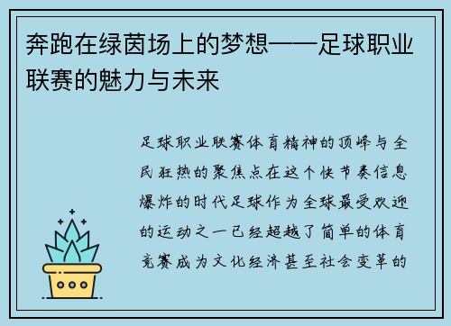 奔跑在绿茵场上的梦想——足球职业联赛的魅力与未来
