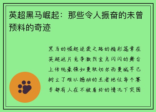 英超黑马崛起：那些令人振奋的未曾预料的奇迹